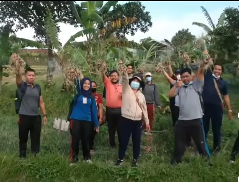 Distan Denpasar Panen Bawang Merah di Subak Sembung