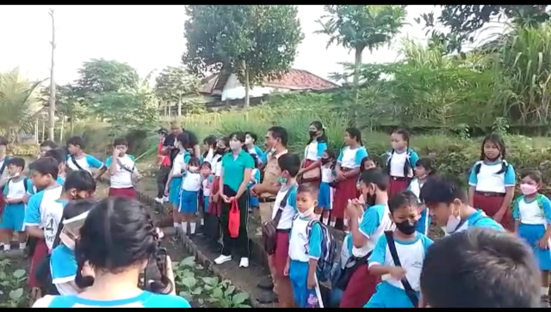 Isi Jeda Semester, Anak-Anak SDN 4 Sumerta  Belajar Bercocok Tanam di Komunitas Tani Tukad Turbin.