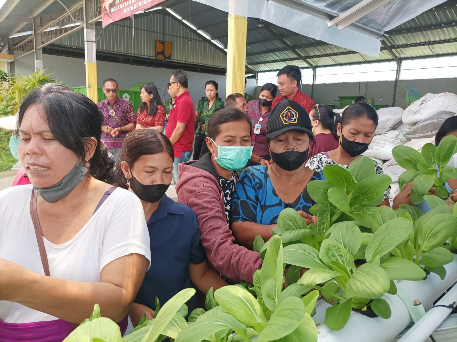 Desa Sidakarya Panen Perdana Program Padat Karya Tunai Nabati