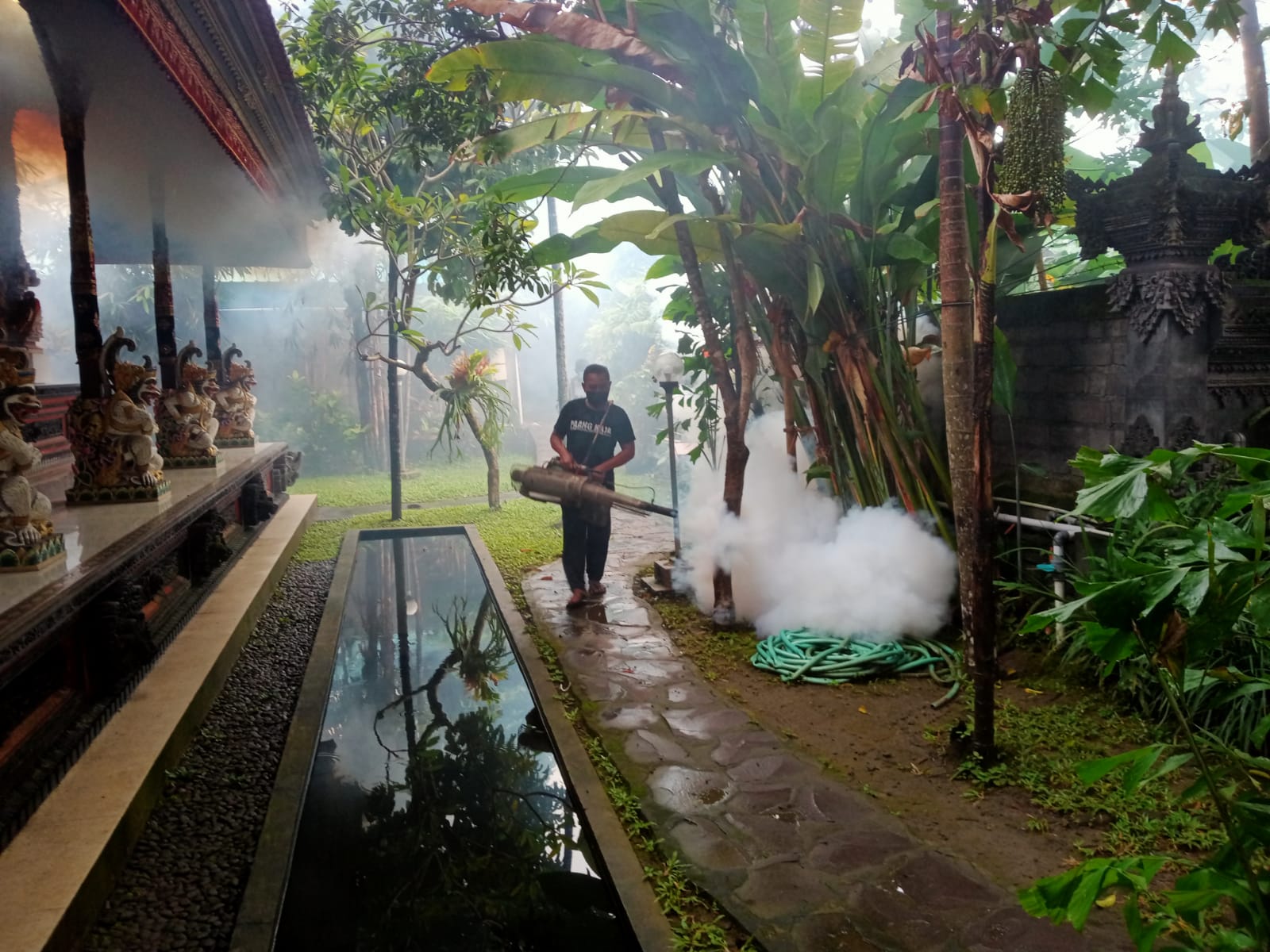 Gambar 1