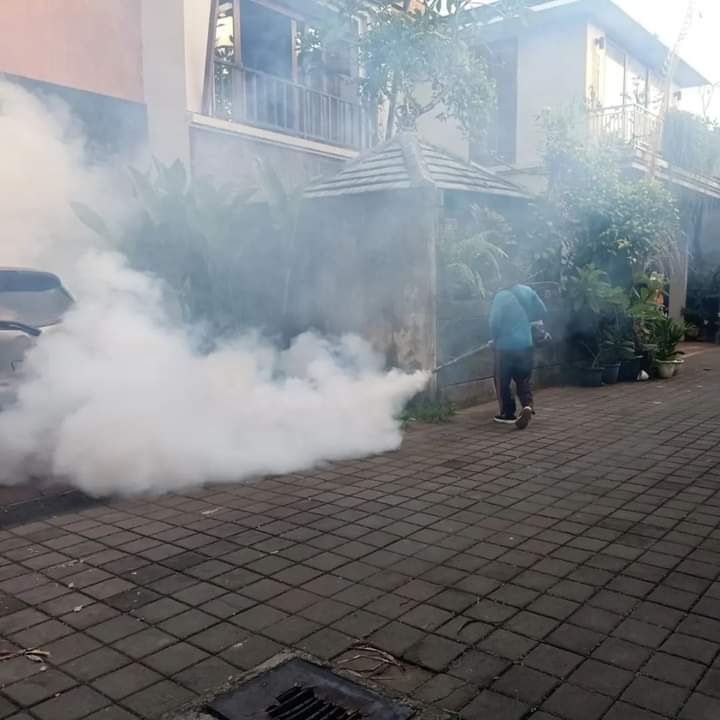 Antisipasi Perkembangan DB di Musim Penghujan, Pemkot Denpasar Gencar Lakukan Fogging.