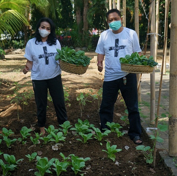 Rai Mantra Panen Sayuran di Kebun Pekarangan Rumah, Ajak Seluruh Lapisan Masyarakat Ciptakan Ketahanan Pangan Skala Keluarga