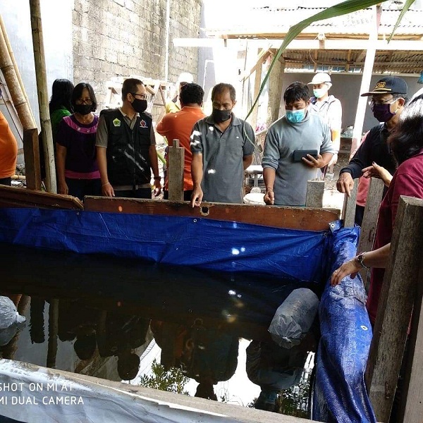 DPKP Kota Denpasar Serahkan 500 Benih Ikan Nila di Kelurahan Renon