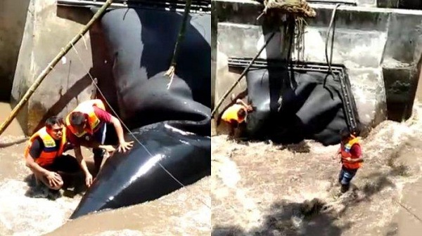Layanan Perumda Tirta Sewaka Dharma Kembali Alami Gangguan