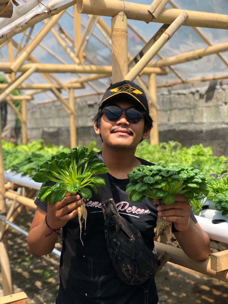 Gumineponik, Salah Satu Usaha Pertanian Milik Anak Muda di Denpasar