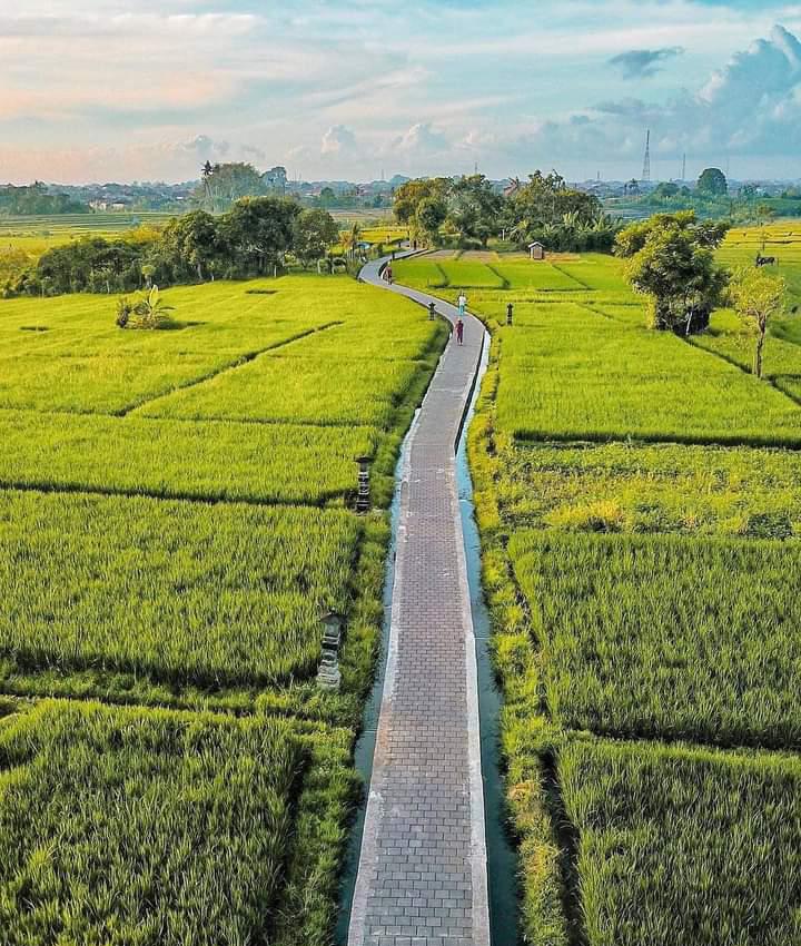 Ekowisata Subak Sembung, Tempat Wisata Asri di Ujung Utara Kota Denpasar