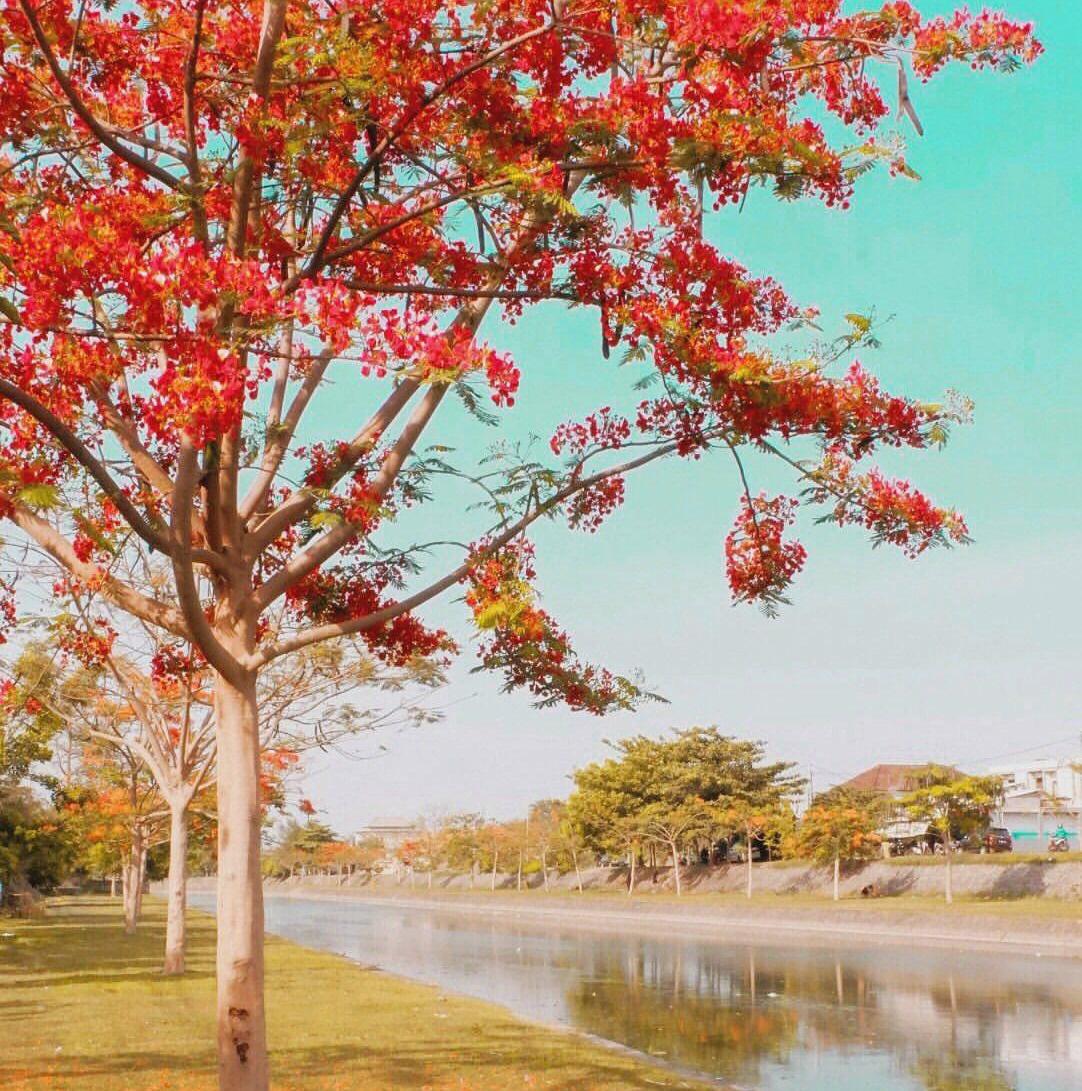 Taman Pancing Rekomendasi Wisata di Kota Madya