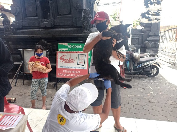 Jaga Denpasar Zero Kasus Rabies, Distan Denpasar Secara Berkelanjutan Laksanakan Vaksinasi Rabies