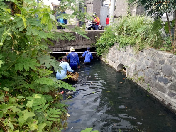 PUPR Denpasar Terus Gencarkan Pembersihan Sungai dan Saluran Air, Hari Ini Sasar 10 Titik, Sampah Masih Jadi Kendala Utama