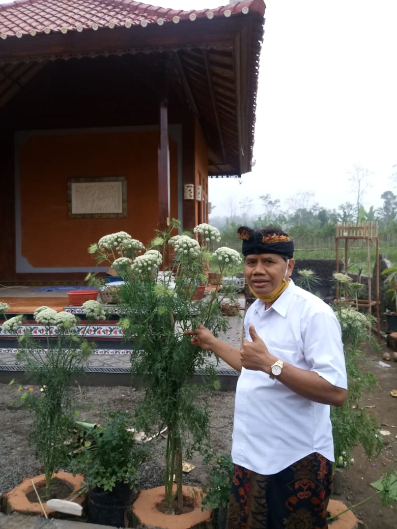 Hari ini, Gubernur Koster Letakkan Batu Pertama Pembangunannya Kantor MDA Denpasar