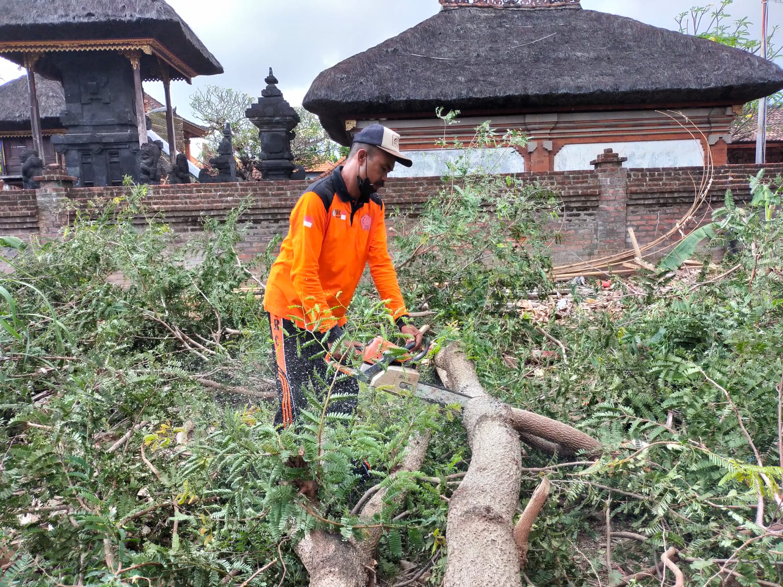 Antisipasi Pohon Tumbang, Tim Respon Cepat Desa Sumerta Kelod Rompes Pohon 