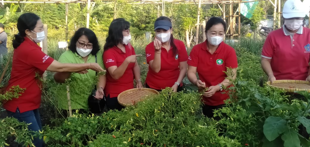 Peringati Hari Lingkungan Hidup Sedunia  Ketua TP PKK Kota Denpasar, Ny. Sagung Antari Jaya Negara Bersama Wakil Ketua Ny. Ayu Kristi Arya Wibawa Meninjau Pengolahan Sampah Di TPST3R Desa Kesiman Kertalangu