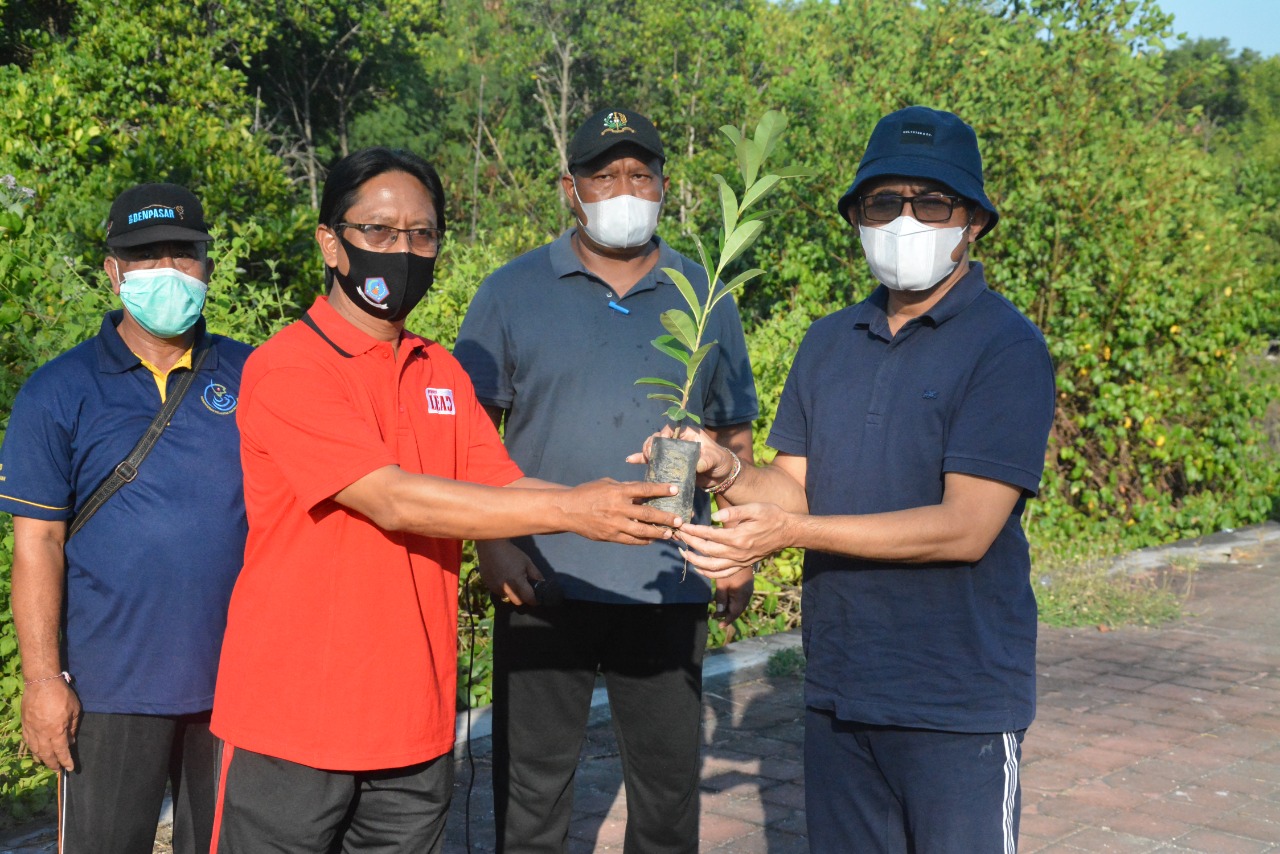 Peringati Hari Lingkungan Hidup Se Dunia Walikota Jaya Negara Tanam Pohon Mangrove