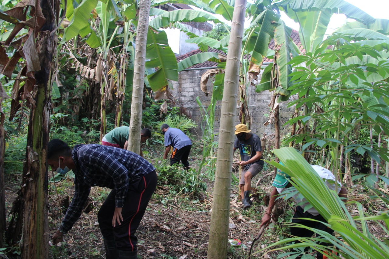 Desa Dauh Puri Kaja Pilih Ketahanan Pangan Sebagai Program Padat Karya Tunainya