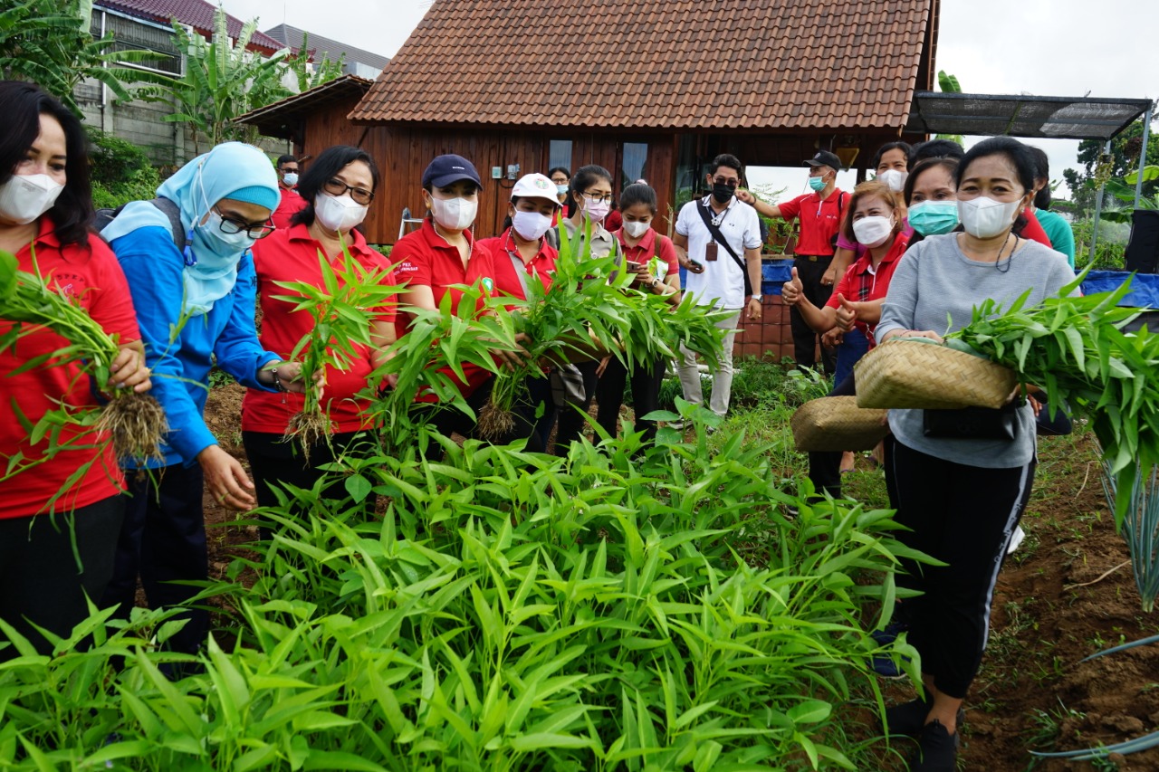 Kurangi Angka Stunting,  Ny. Antari Jaya Negara Ajak  Masyarakat Manfaatkan Pekarangan Rumah Untuk Berkebun.
