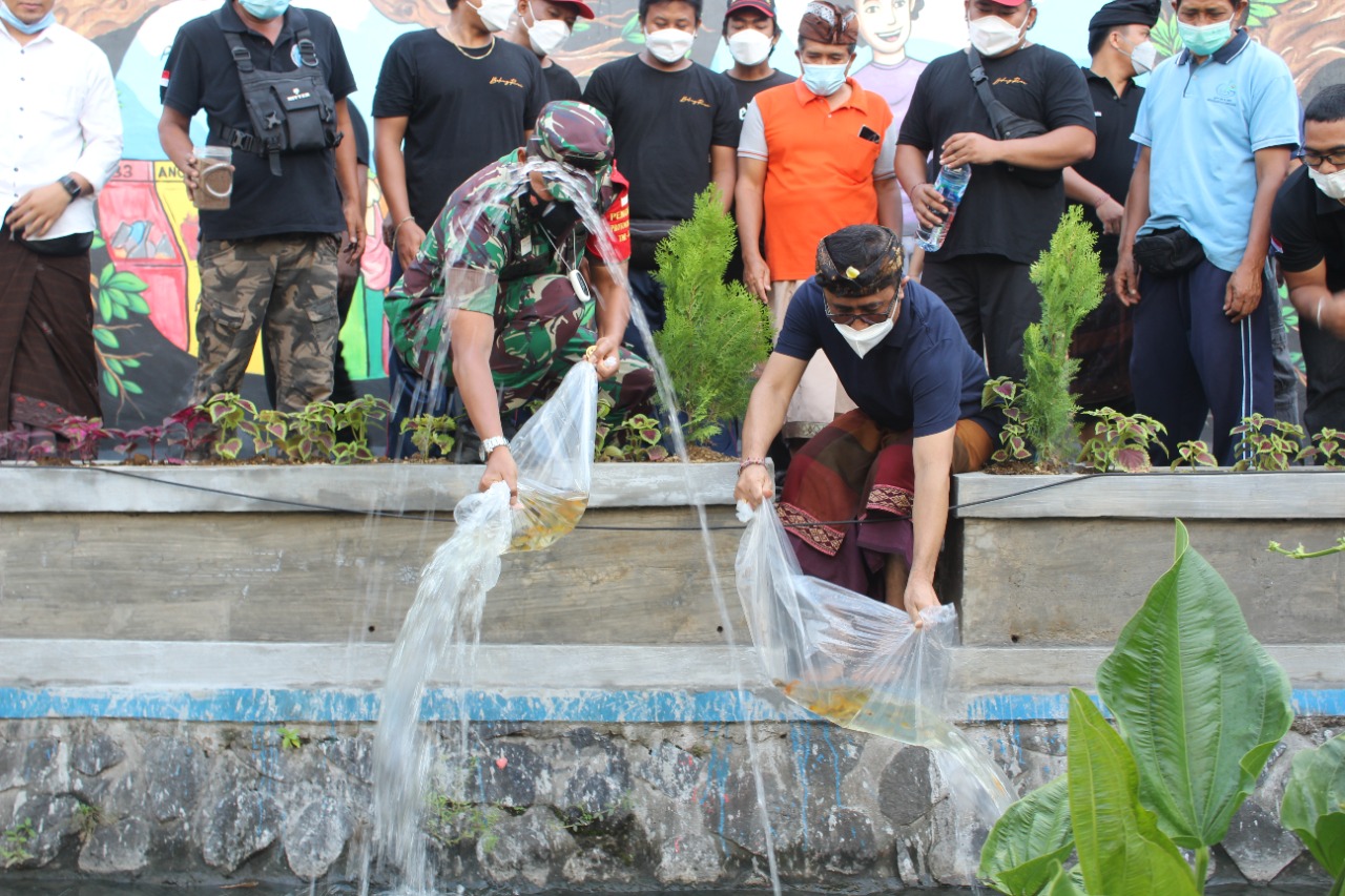 Walikota Jaya Negara Tebar Benih Ikan Di Tukad Beling dan Tukad Wang Bige.