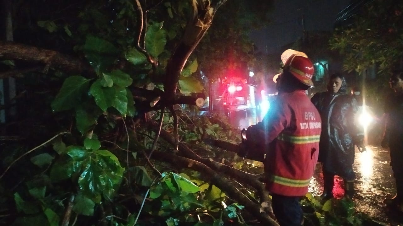 Tim Respon Cepat BPBD Denpasar Atensi Pohon Tumbang Pasca Hujan Lebat