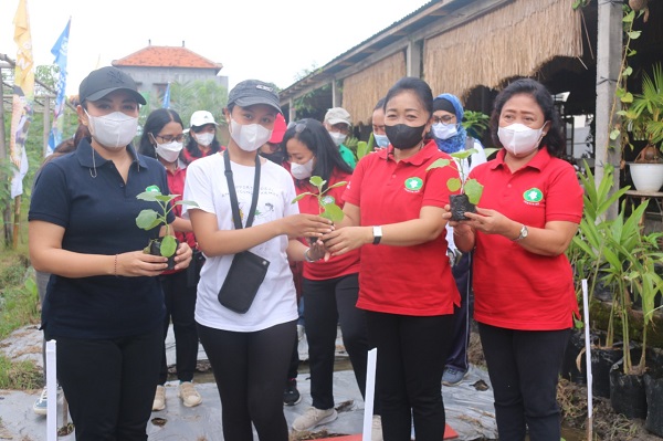 Ny. Sagung Antari Jaya Negara Panen Sayur, Lele Serta Penanaman Bibit Sayuran dan Demonstrasi Pengolahan Ikan dan Sayuran